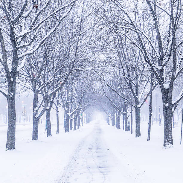 istock Winter in Philadelphia 1815130217