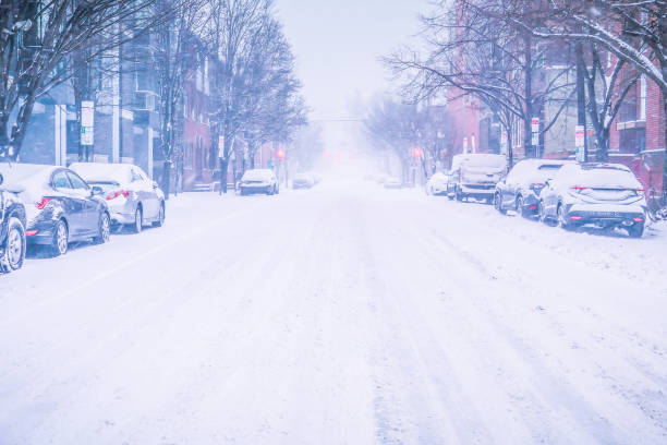 istock Winter in Philadelphia 1815130754