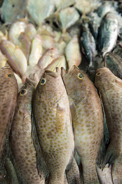 istock Fresh sea fish in Bangkok market 181513077