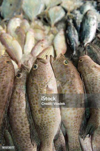 Свежий Морской Рыбный Рынок В Бангкоке — стоковые фотографии и другие картинки Азиатская культура - Азиатская культура, Азиатский рынок, Азия