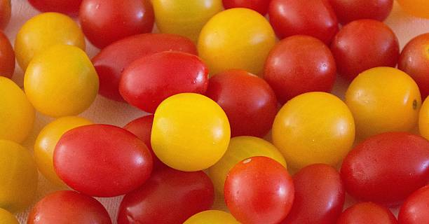 istock Baby plum and cherry tomatoes 181514920