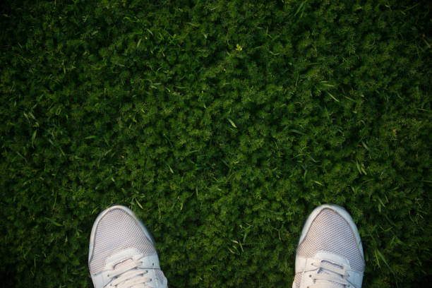istock Socks of white sneakers stand on green grass 1815158110