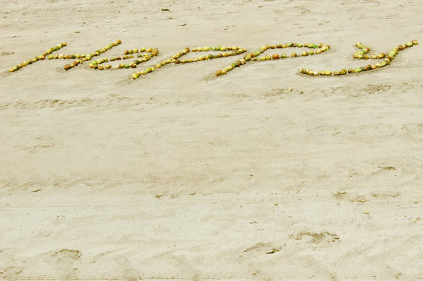 słowo happy napisane regionalnymi owocami tropikalnymi na piasku plaży, aby powitać i zainspirować turystów odwiedzających vila morro de são paulo, ilha de tinharé, archipelag kairu, bahia, brazylia. - happy land zdjęcia i obrazy z banku zdjęć