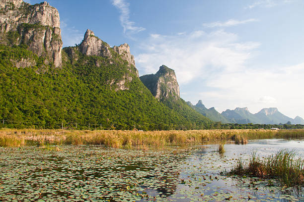 lagoa de lótus natural - witchcraft heights imagens e fotografias de stock