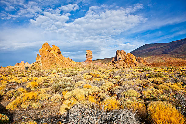istock Volcanic lava landscape on Teide, Tenerife,  Spain. 181517297