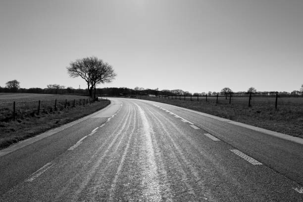 Rural road in the landscape in black and white