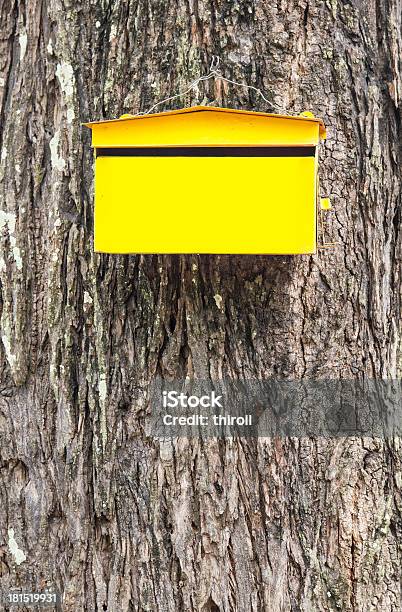 Gelben Postbox Briefkasten Haut Am Baum Hintergrund Stockfoto und mehr Bilder von Briefkasten