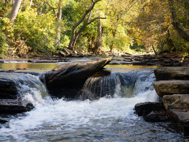 istock Surface Level View of a Small Waterfall on Big Creek in Chattahoochee River National Recreation Area in Autumn 1815202235