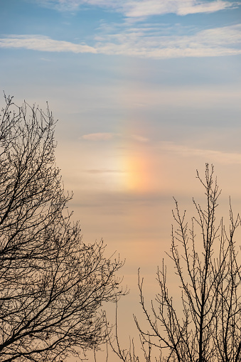 A parhelion (plural parhelia) - natural atmospheric optical phenomenon that consists of a bright colored spot in the sky. Other names: sun dog (or sundog) or mock sun, halo