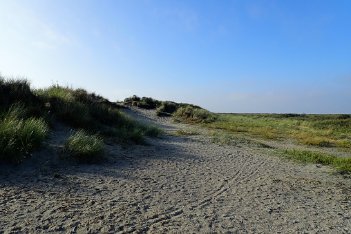 Between the village and the beach on the Dutch island Schiermonnikoog there is this white dune with marram grass on it.