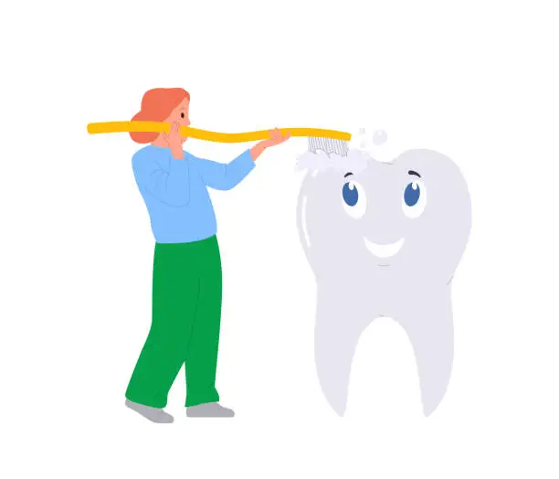 Vector illustration of Smiling little preschool girl child brushing big white healthy tooth with toothbrush and paste