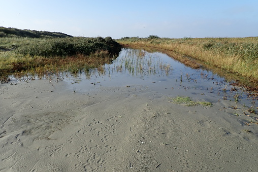 This hiking trail in the dunes of Schiermonnikoog is flooded. It's between the village and the beach on the North Sea island.