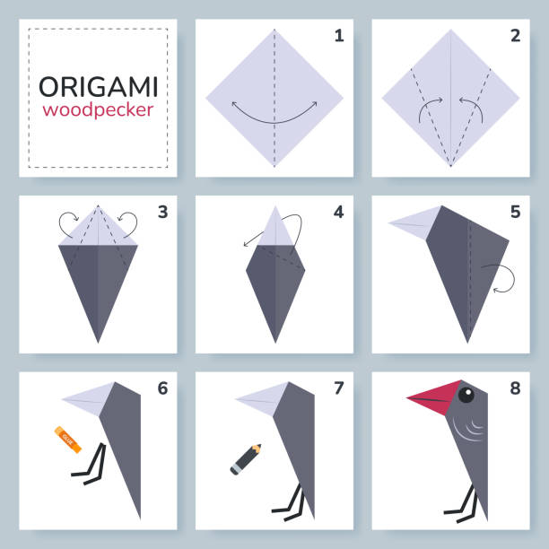 Origami tutorial for kids. Origami cute woodpecker Woodpecker origami scheme tutorial moving model. Origami for kids. Step by step how to make a cute origami bird. Vector illustration. origami instructions stock illustrations