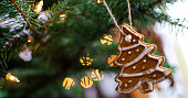 Baked gingerbread cake hanging on christmas treewith shiny and glittering fairy lights. Christmas decoration.