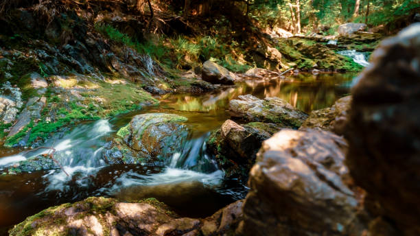 Água corrente em cachoeira entre riacho rochoso nas montanhas - foto de acervo