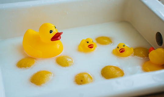 Toy yellow plastic ducks swim in the sink with yellow lemons. Childhood. Yellow color concept, fun time.