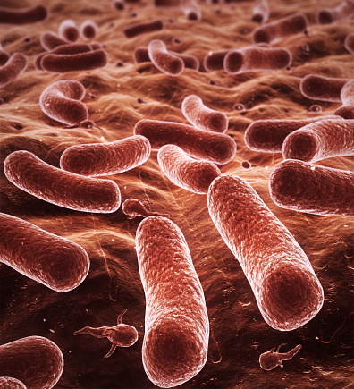 3d render high quality drawing bacteria depth of field