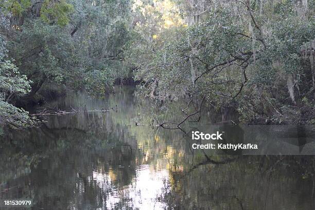 Foto de Lithia Springs State Park Na Flórida e mais fotos de stock de Acampar - Acampar, Arbusto, Estados da Costa do Golfo