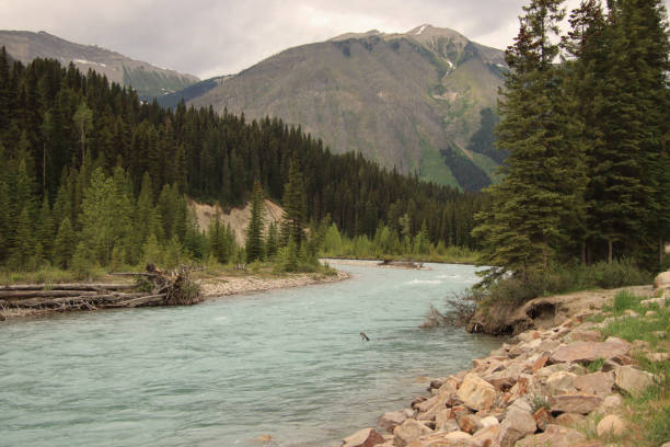 istock Island in Front of the Mountain 1815323358