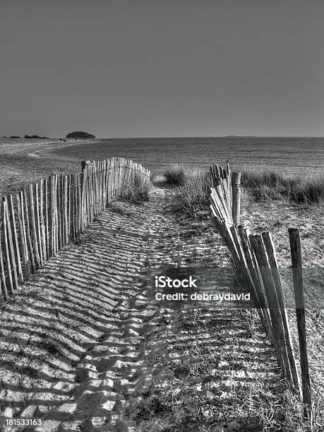 En Allant À La Praia - Fotografias de stock e mais imagens de Ao Ar Livre - Ao Ar Livre, Areia, Branco