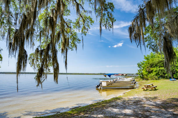 istock Pontoon Boat on Lake Shore 1815362952