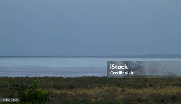 Sivash Bay - zdjęcia stockowe i więcej obrazów Bez ludzi - Bez ludzi, Biały, Fotografika