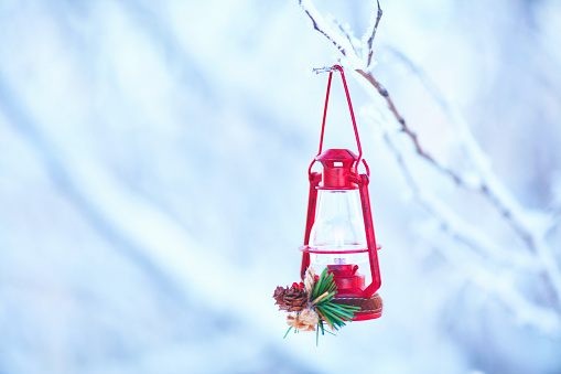 Christmas lantern ornament on snow covered branches outdoors
