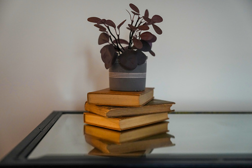 Home decor of antique books stacked on a desk with a plant sitting on top