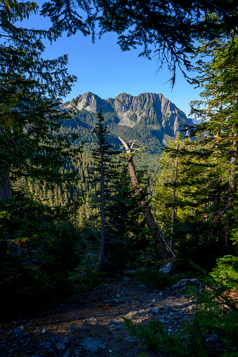 Landscape photograph taken in Mount Rainier National Park in Washington. (not Mount Rainier)