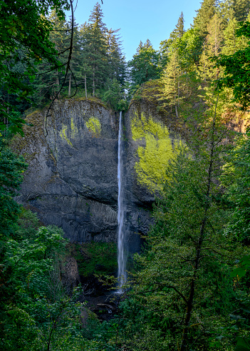 Landscape photograph of Latourell Falls in the Columbia River Gorge of Oregan