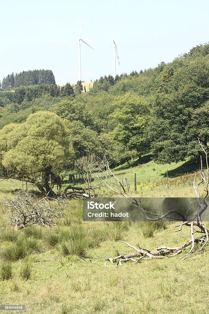 green valley - Lizenzfrei Baum Stock-Foto