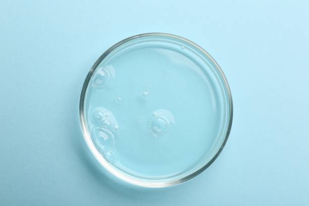 istock Petri dish with liquid sample on light blue background, top view 1815453789