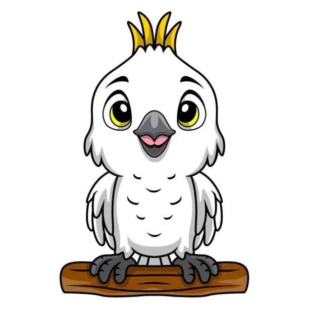 Vector illustration of Cute white cockatoo cartoon on white background