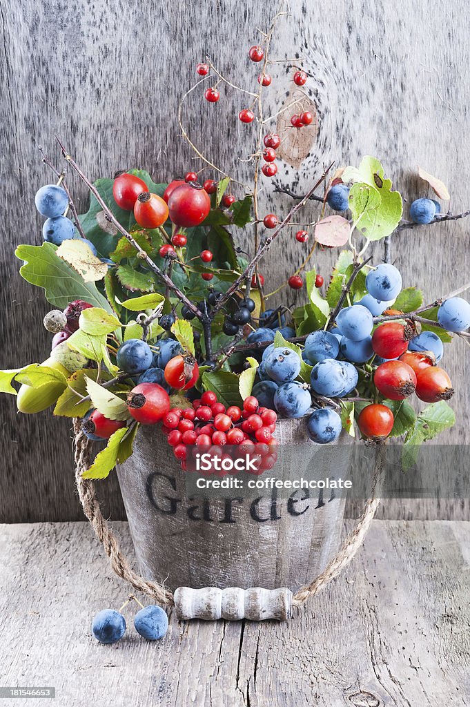 Frutti di bosco in un giardino autunnale vecchio sfondo in legno - Foto stock royalty-free di Agricoltura