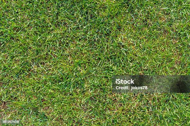 Green Lawn Isolated In Plan View Stock Photo - Download Image Now - Architecture, Backgrounds, Construction Industry