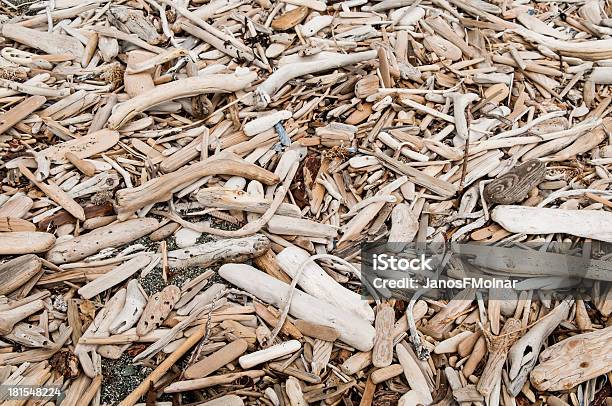 Deriva Na Praia De Madeira - Fotografias de stock e mais imagens de Ao Ar Livre - Ao Ar Livre, Areia, Fotografia - Imagem