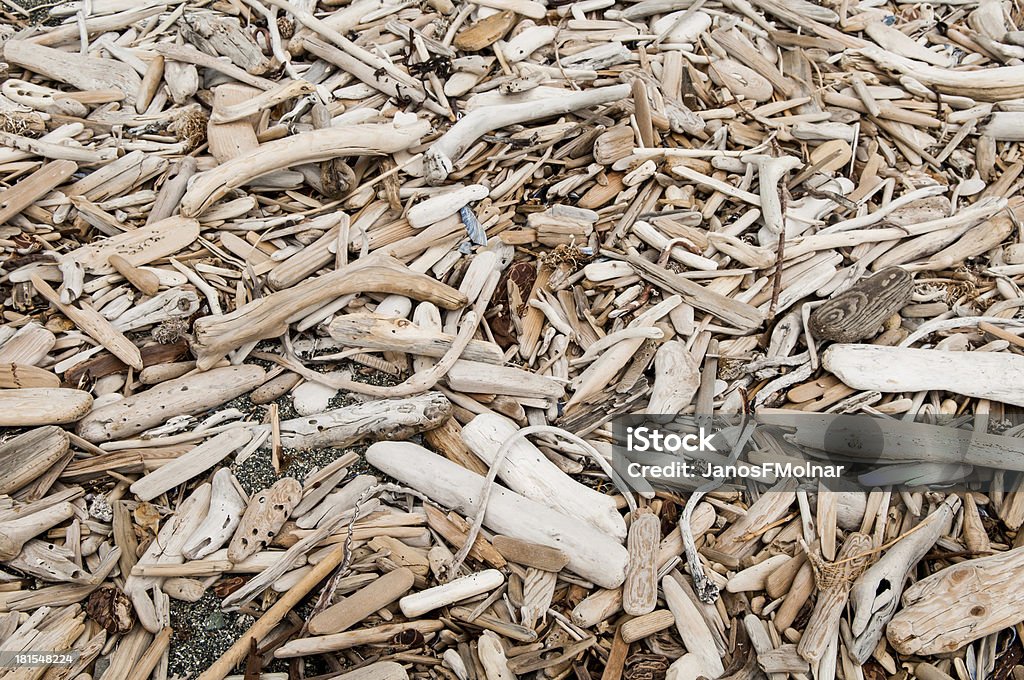 Дрейф дерево на пляж - Стоковые фото Без людей роялти-фри