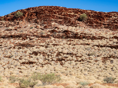 Pilbara colours in Western Australia, red rocks, blues skies and spinifex