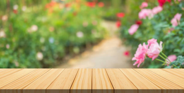 istock Empty wood table top with blur rose garden background for product display 1815495688
