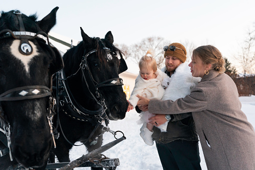 Young adult Caucasian couple and mid-adult man on horse-drawn sleigh ride through winter landscape.