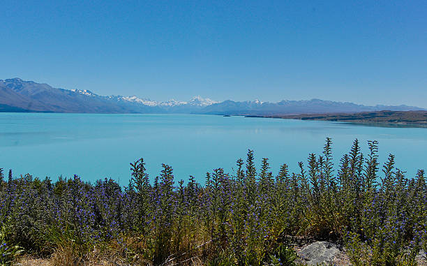 Lake Ohau, New Zealand stock photo