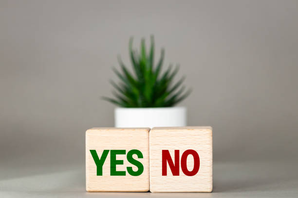 istock A yes or no choice. Positive or negative decision. Acceptance or rejection. Reverse words yes or no on the desk, colorful cubes and succulent on a beautiful gray background 1815540203