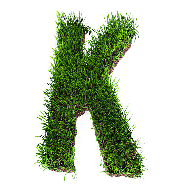 Grass letter K stock photo