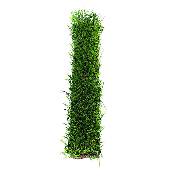 Grass letter I stock photo