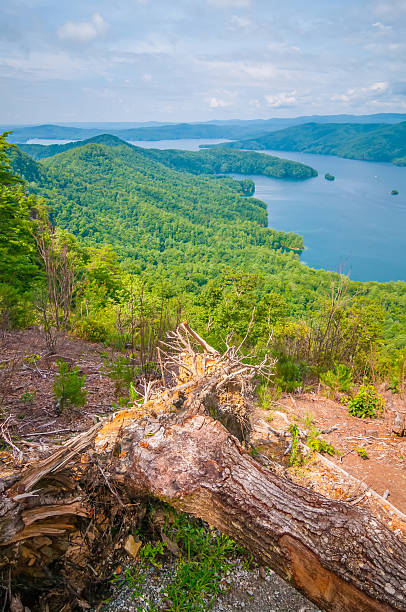 istock scenery around lake jocasse gorge 181562803