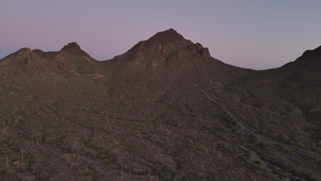Saguaro cactus desert, Tucson, Arizona