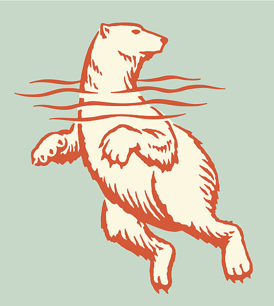 Swimming Polar Bear