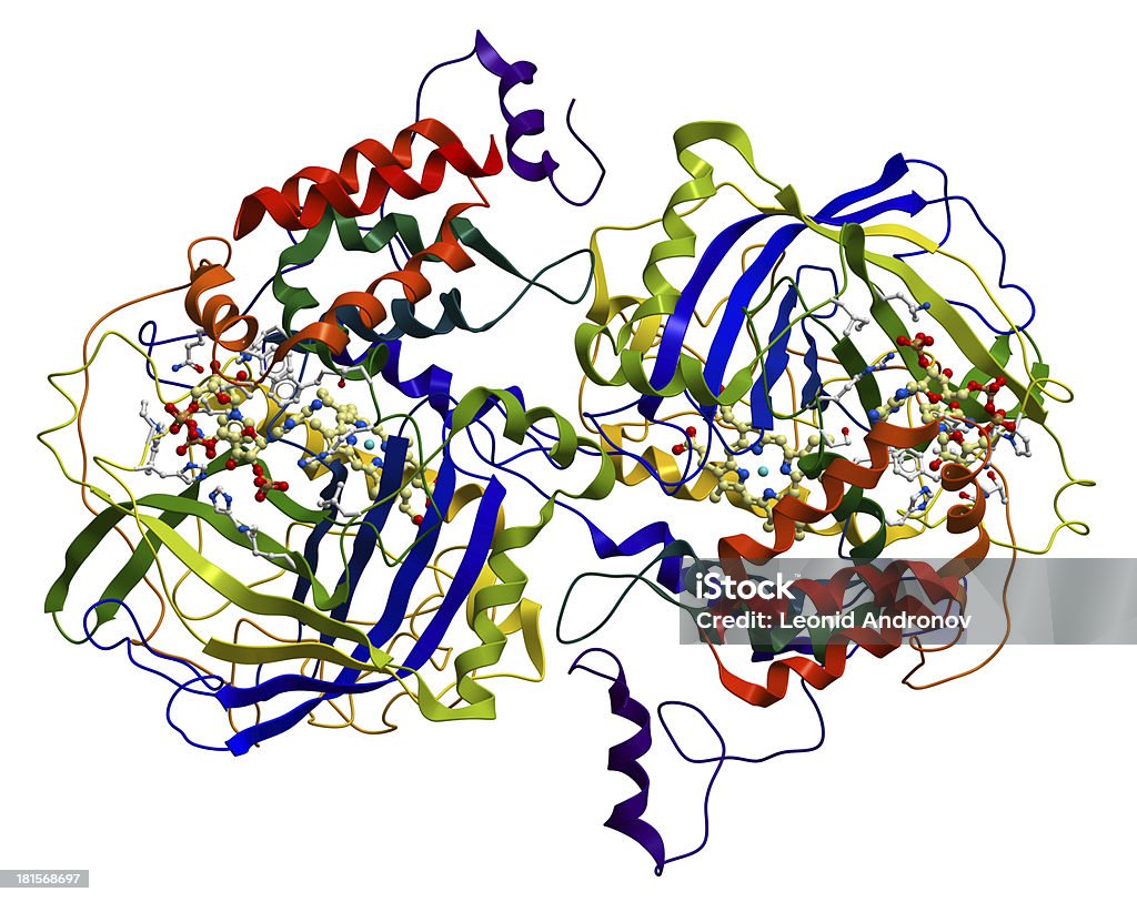 Enzyme Catalase, a very important antioxidant in organism Enzyme Stock Photo