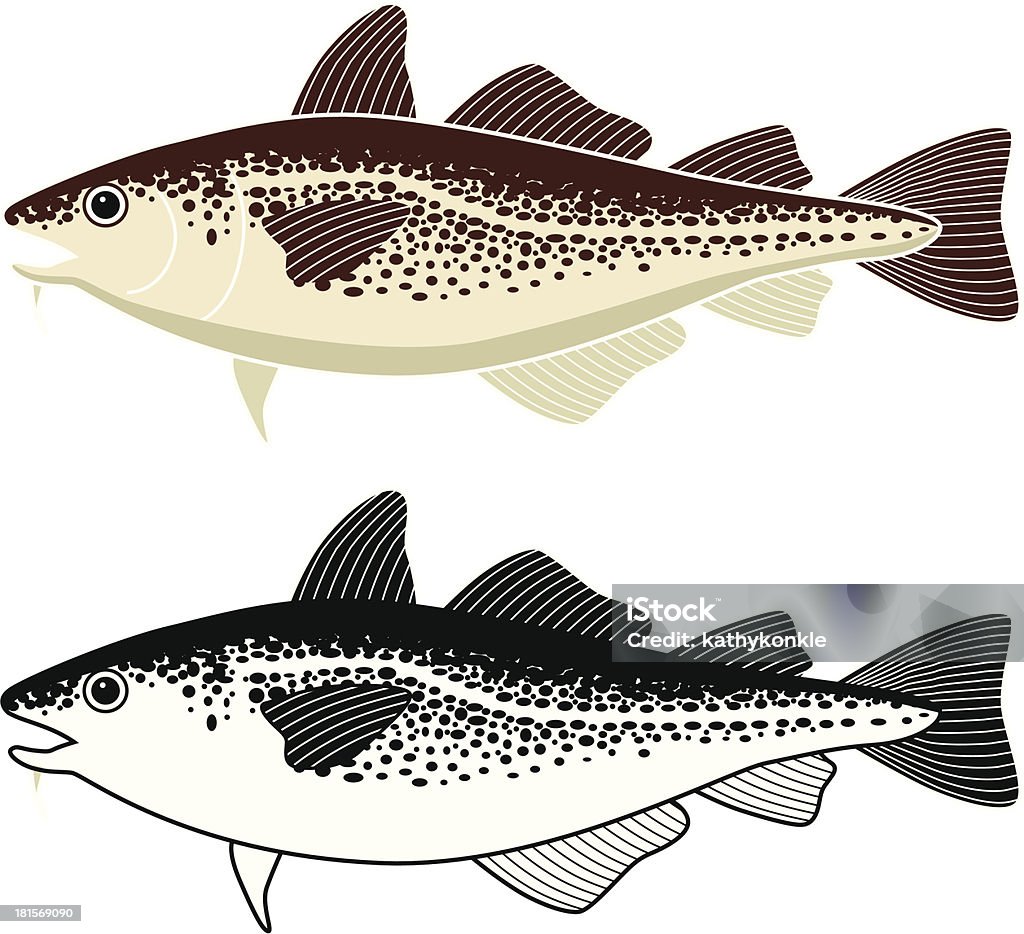 Cod Fish Refrence Image Cod Fish Stock Illustration - Download Image Now - Cod, Fish, Fish ...