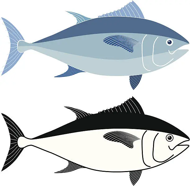 Vector illustration of tuna fish